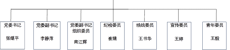 党委书记,党委副书记,党委副书记,组织委员,纪检委员,统战委员,宣传委员,青年委员,张继平,李静萍,南江辉,崔婕,王书华,王婷,王毅